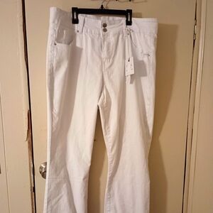 Bleu denim jeans nwt plus size